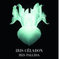 Iris Celadon EDP