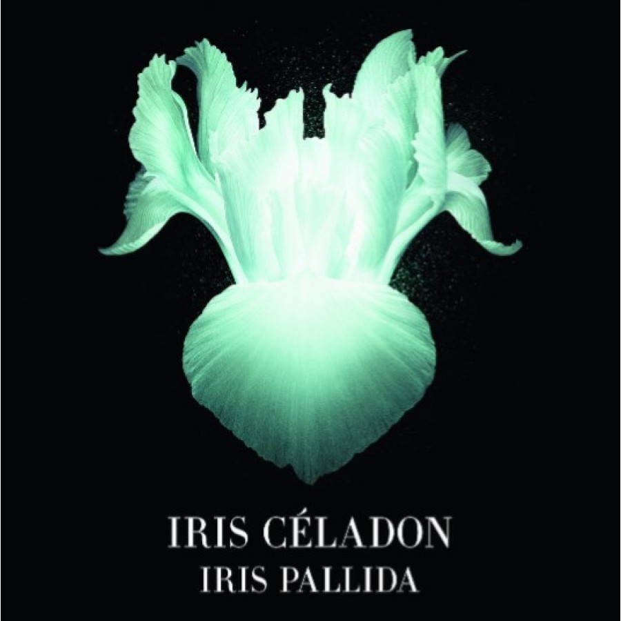 Iris Celadon EDP