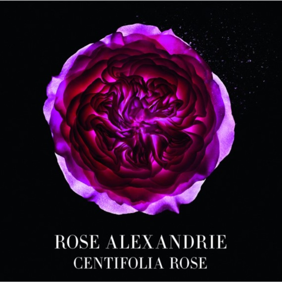 Rose Alexandrie EDT