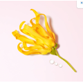 My Way Ylang EDP