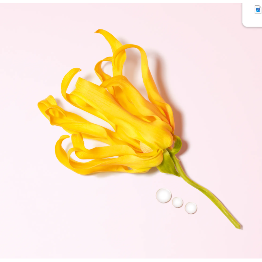 My Way Ylang EDP