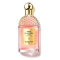 Rosa Rossa Forte EDP