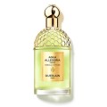 Nerolia Vetiver Forte EDP