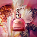 Scandal By Night EDP