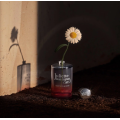 Ode To Dullness EDP