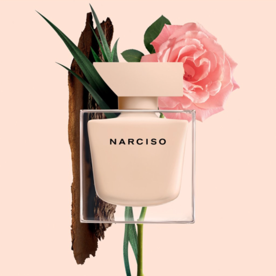 Narciso Poudree EDP