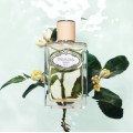 Infusion de Fleur d'Oranger EDP