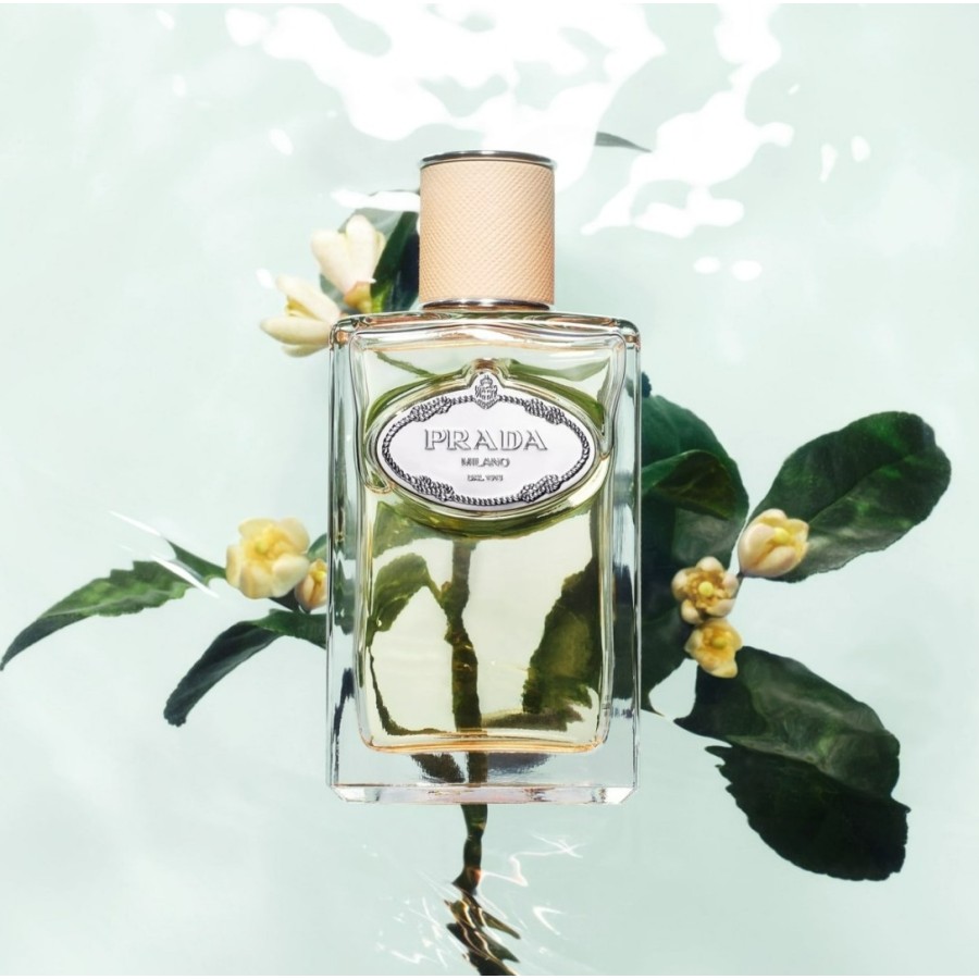 Infusion de Fleur d'Oranger EDP