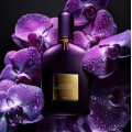 Velvet Orchid EDP