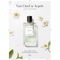 Thé Amara EDP