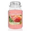 Sun-Drenched Apricot Rose 623 g