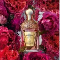 Rosa Rossa Forte EDP