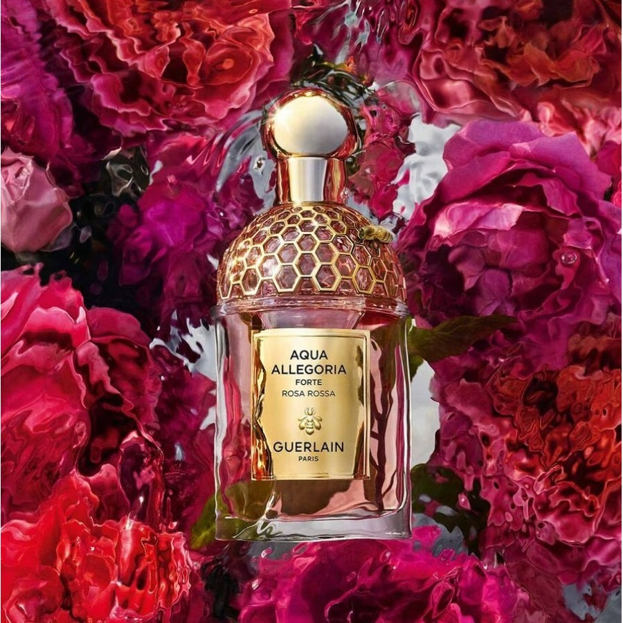 Rosa Rossa Forte EDP