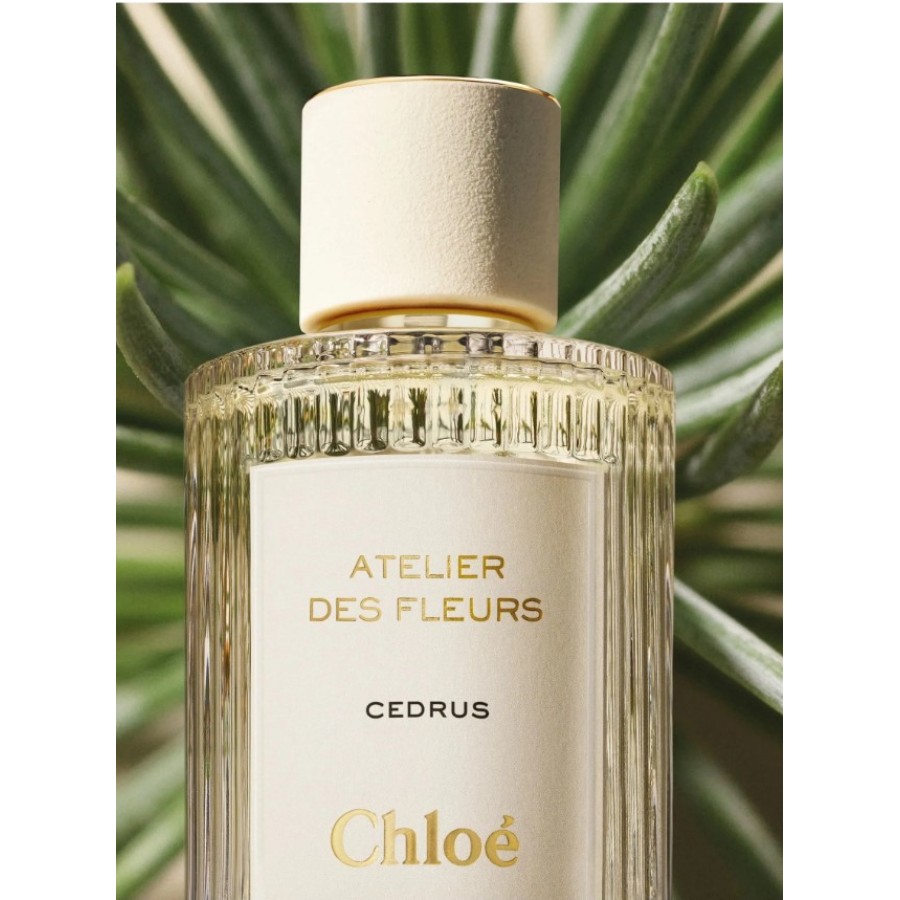 Atelier des Fleurs Cedrus EDP