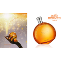 Elixir des Merveilles EDP