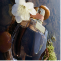 Nomade EDP Nomade EDP