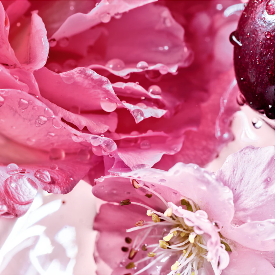 La Petite Robe Noire Rose Cherry EDP La Petite Robe Noire Rose Cherry EDP