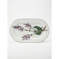 Botanica ovāla plate – Salvia pratensis (mazlietota)