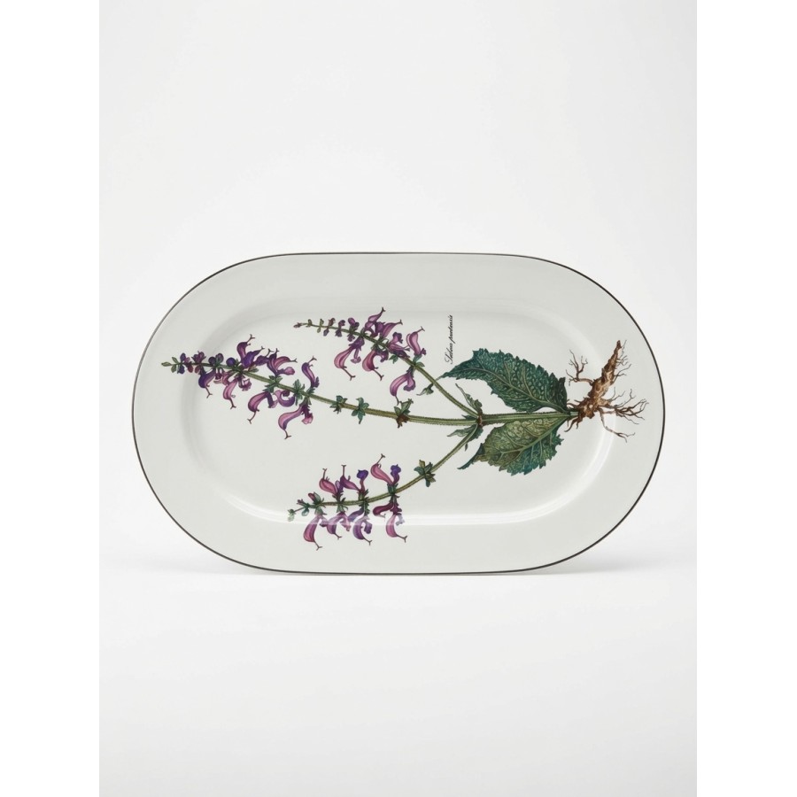 Botanica ovāla plate – Salvia pratensis (mazlietota)