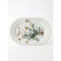 Botanica ovāla plate – Anthemis tinctoria (mazlietota)