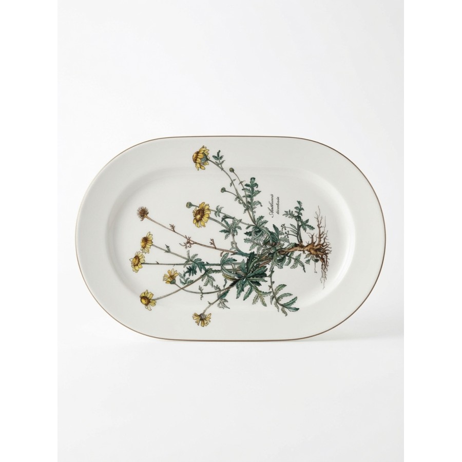 Botanica ovāla plate – Anthemis tinctoria (mazlietota)
