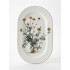 Botanica ovāla plate – Anthemis tinctoria (mazlietota)
