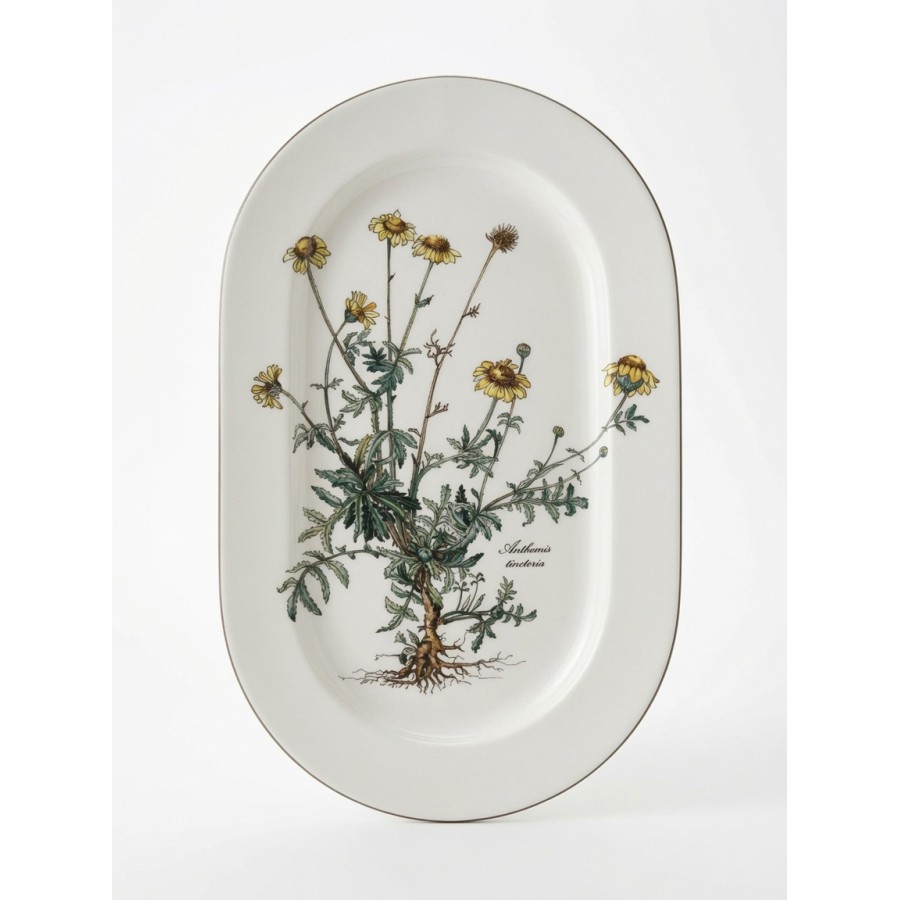 Botanica ovāla plate – Anthemis tinctoria (mazlietota)