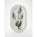 Botanica ovāla plate – Salvia pratensis (mazlietota)