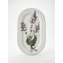 Botanica ovāla plate – Salvia pratensis (mazlietota)