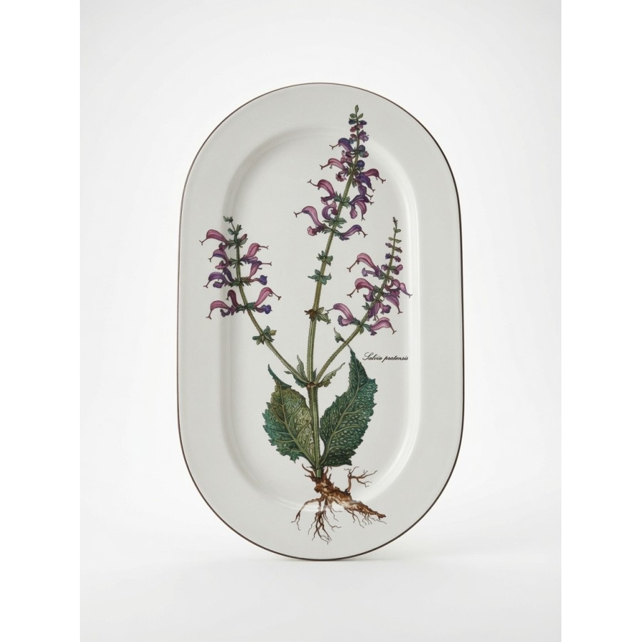 Botanica ovāla plate – Salvia pratensis (mazlietota)